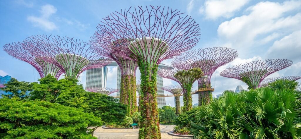 Web Design Singapore