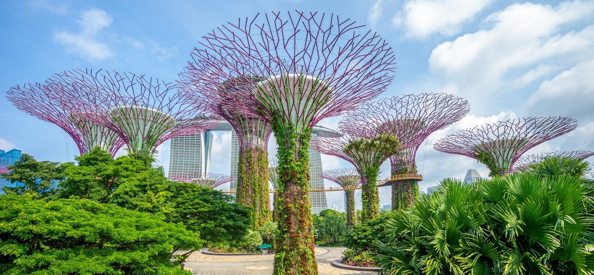 Web Design Singapore