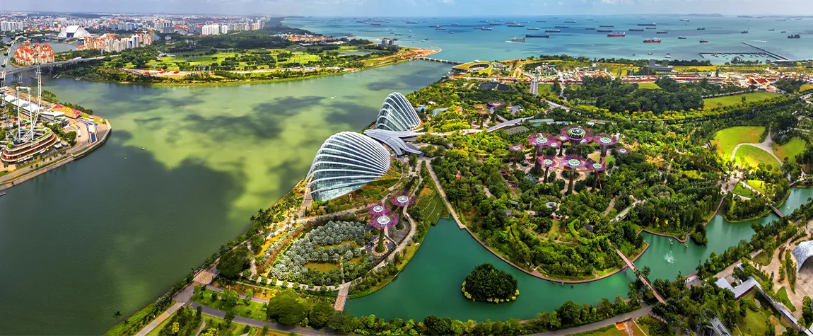 Singapore Ecommerce Design