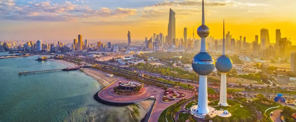 Professional Web Dubai