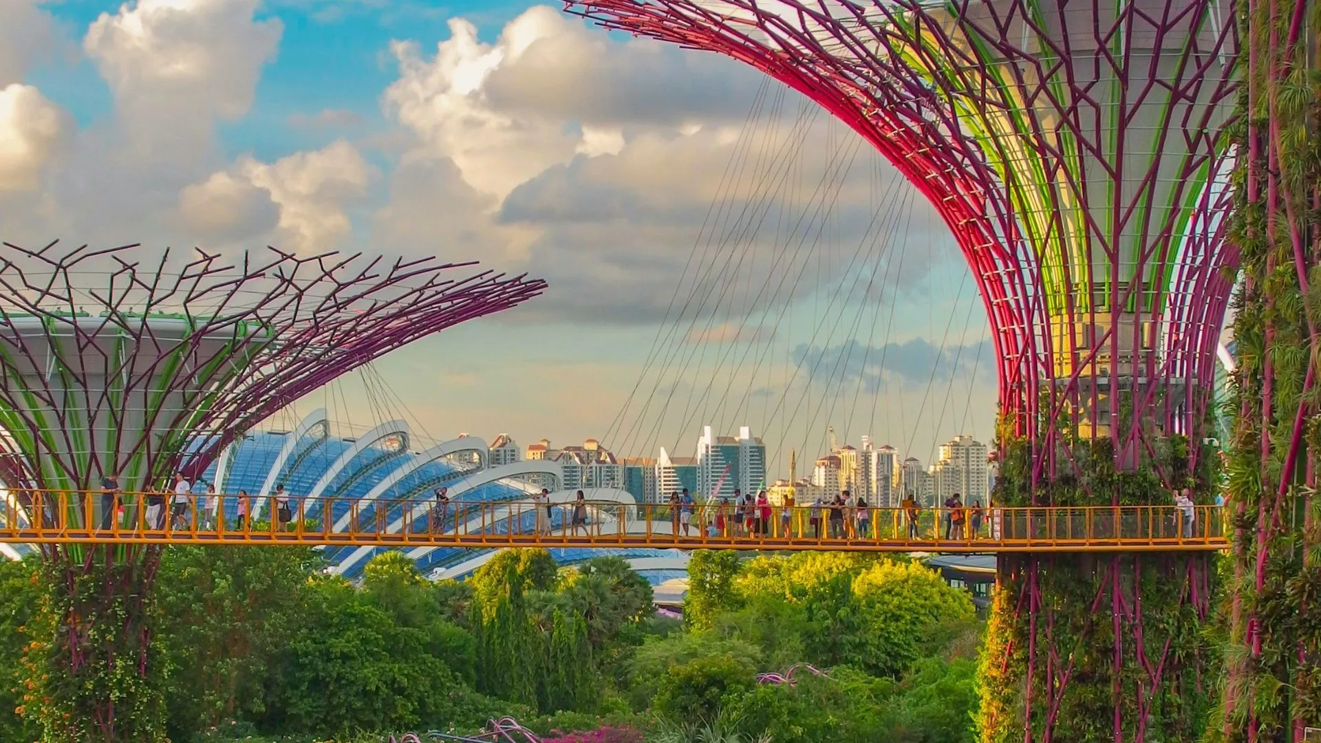 Singapore Website Ranking Services