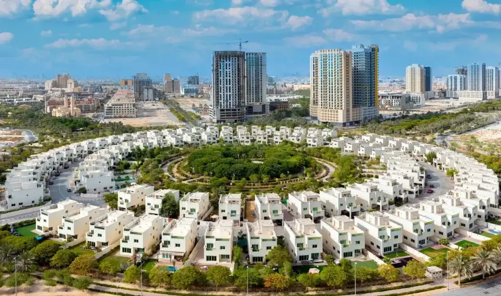 SEO Optimization Dubai