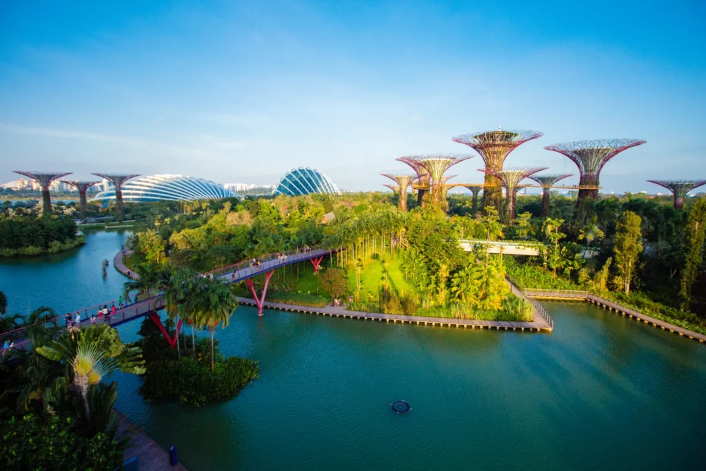 Website SEO Singapore