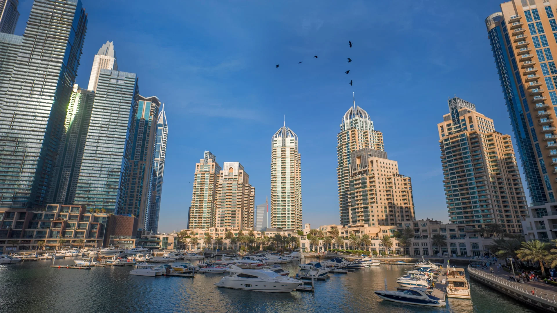 Shopify Development Dubai